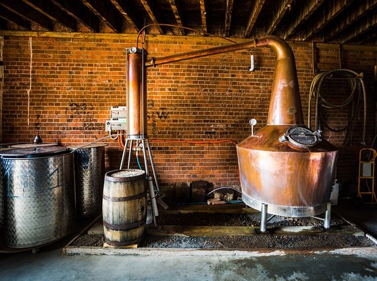 Gin Distillery Tour And Guided Tasting