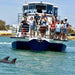 Dolphin Cruise & Views Tour For Two - We Wander