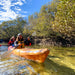 Dolphin Sanctuary Mangroves Tour - We Wander