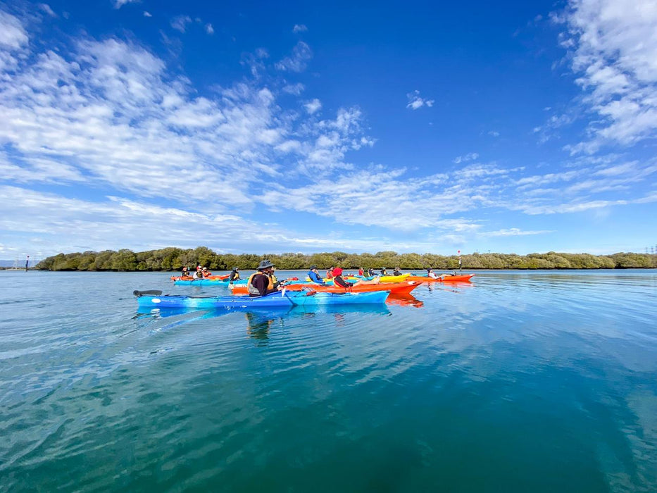 Dolphin Sanctuary Mangroves Tour - We Wander