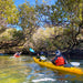 Dolphin Sanctuary & Ships Graveyard Kayak Tour - We Wander