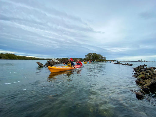 Dolphin Sanctuary & Ships Graveyard Kayak Tour - We Wander