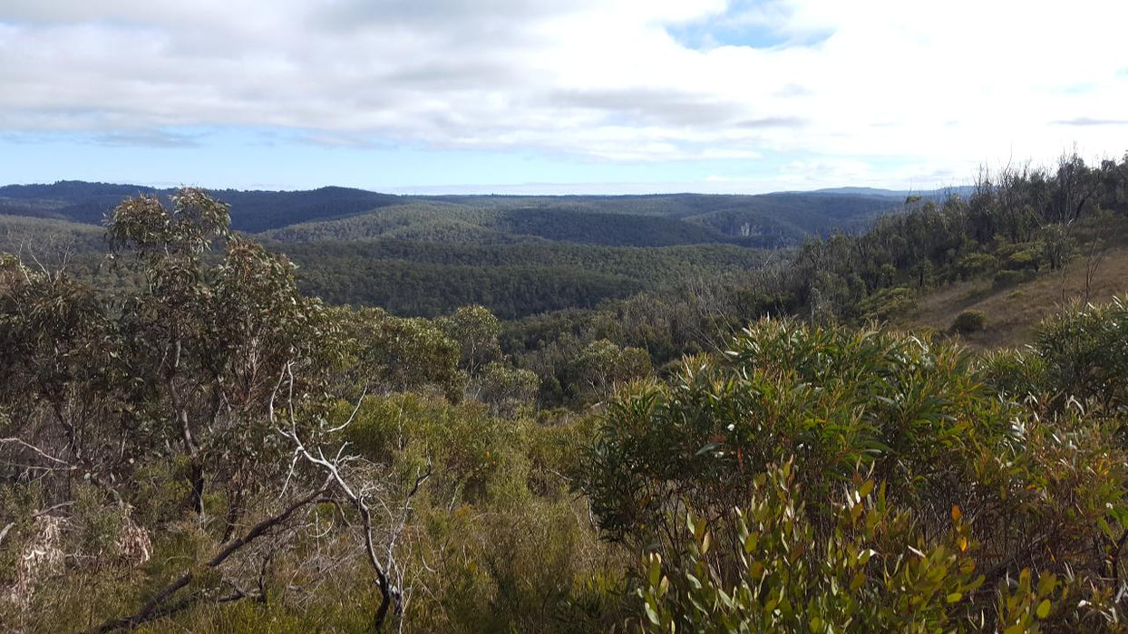 E - Bike (Electric) Guided Tour - Half Day - Hanging Rock - Blackheath - We Wander