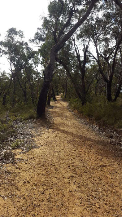 E - Bike (Electric) Guided Tour - Half Day - Hanging Rock - Blackheath - We Wander