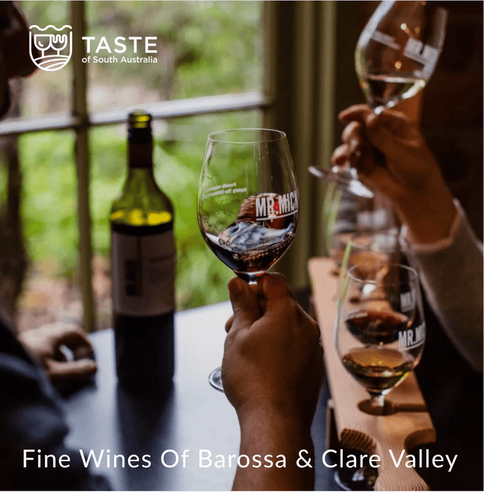 Elite 2 - Experience Portfolio for business - We Wander