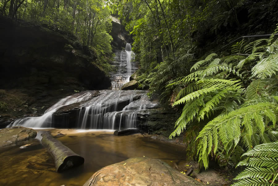 Empress Canyon Abseiling And Canyoning Adventure - Blue Mountains - We Wander