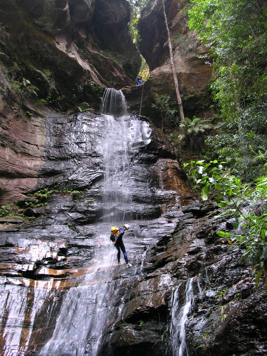 Empress Canyon Abseiling And Canyoning Adventure - Blue Mountains