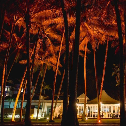 Experience Dinner At Nunu - We Wander