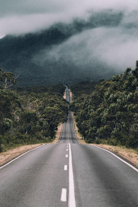 Experience The Grampians On A Full Day Tour - We Wander