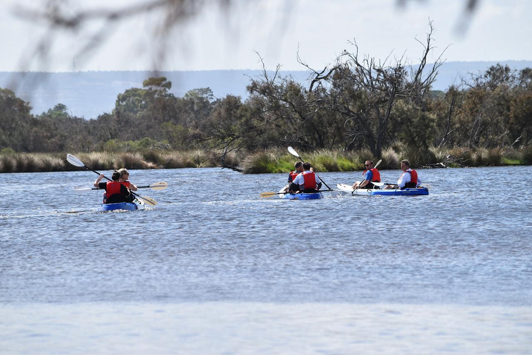 Explore Canning River Wetlands Kayak Tour - We Wander