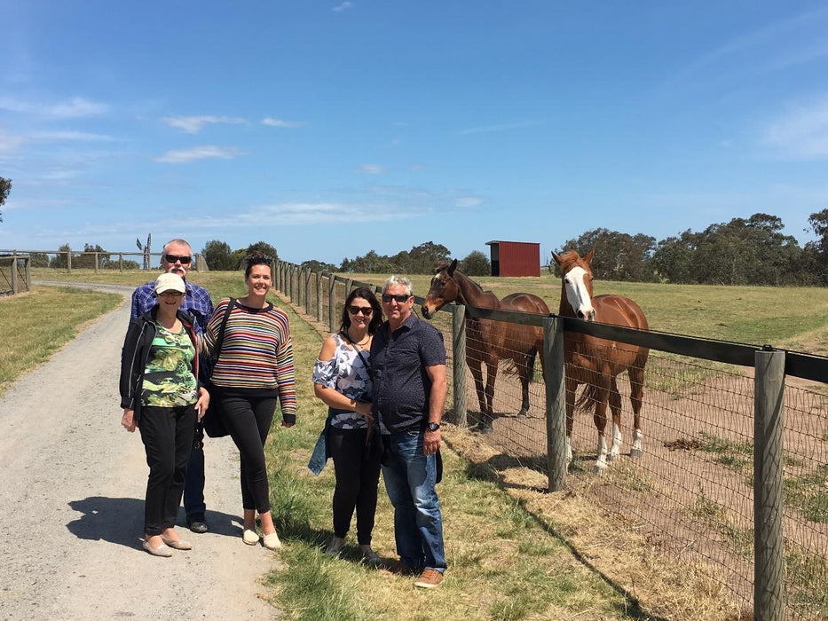 Horses, Wine & Beer Tour