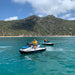 Fishing Feeding Tours - We Wander