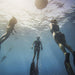 Freediving Course - Airlie Beach - 2 Day - We Wander