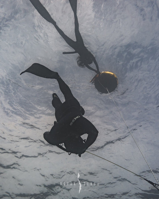 Freediving Course - Airlie Beach - 2 Day - We Wander