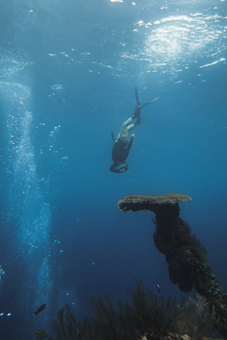 Freediving Course - Gold Coast - 2 Day - We Wander