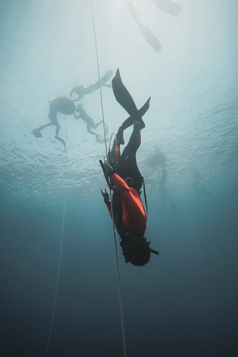 Freediving Course - Gold Coast - 2 Day - We Wander