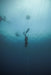Freediving Course - Mooloolaba - 2 Day - We Wander