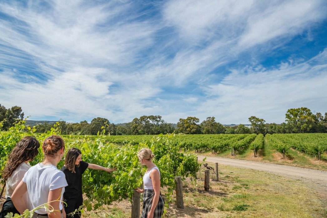 From The Ground Up Tasting At Shottesbrooke Vineyards - We Wander