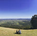 Full Day Mount Tamborine Winery Tour - Brisbane Pickup - We Wander