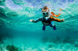 Full Day Outer Reef & Islands Snorkel Tour - We Wander