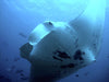 Full Day Outer Reef & Islands Snorkel Tour - We Wander