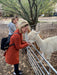 Full Day Wine & All About It Tour: Scones, Chocolate, Wineries, Lunch & More! - We Wander