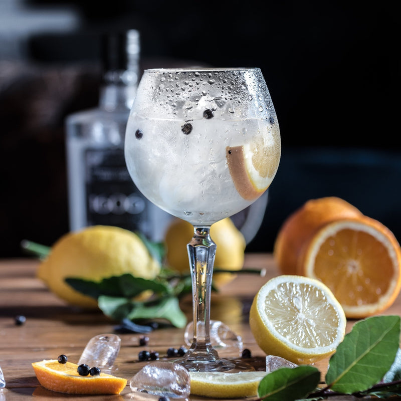 Gin & Tonic Lover's Ultimate Home Hamper - We Wander