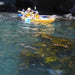 Glass Bottom Kayak Tour - Cullendulla Sanctuary - We Wander