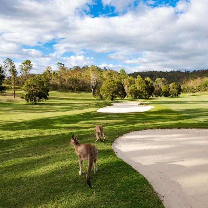 Golf Casual 18 Holes - We Wander