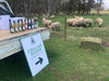 Guided Tasting At The Vineyard - We Wander