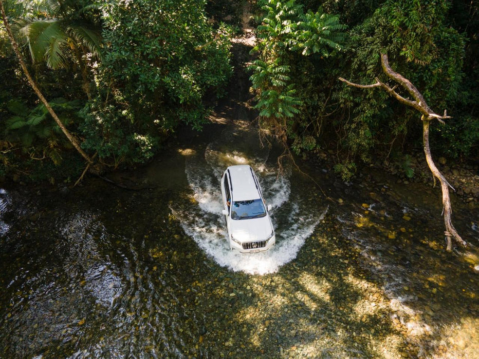 Half Day 4Wd Daintree Tour - We Wander