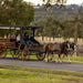 Harvest The Hunter Wine And Produce Tour - We Wander