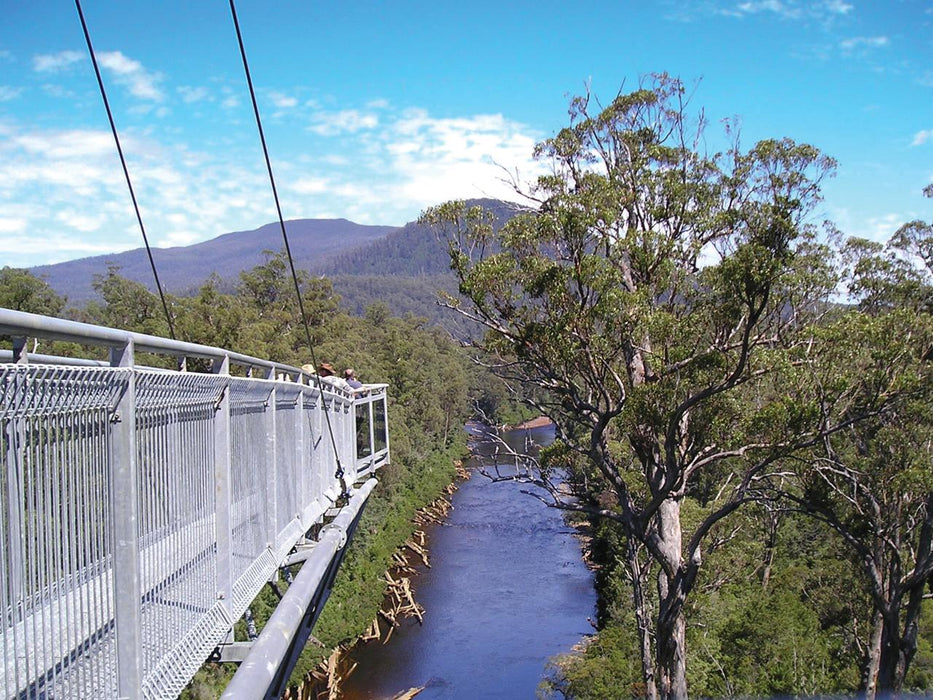 Hastings Caves, Thermal Springs And Tahune Airwalk - We Wander