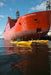 Hobart City Kayaking Tour With Fish And Chips - We Wander