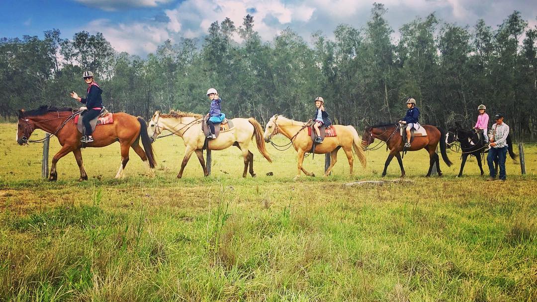 1-Hour Horse Ride - Bushland Trail