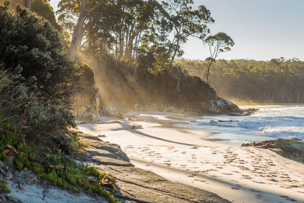 Bruny Island Day Tour