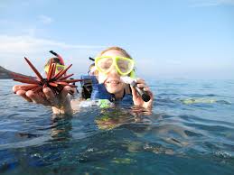 Snorkel With The Fish Wave Break Island