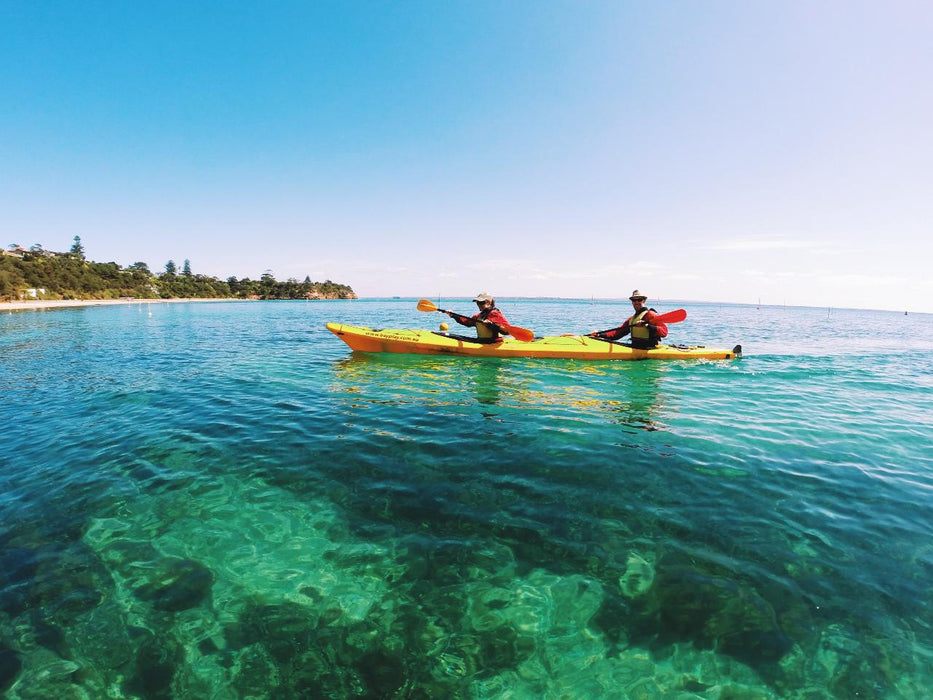 Kayak The Dolphin Sanctuary - We Wander