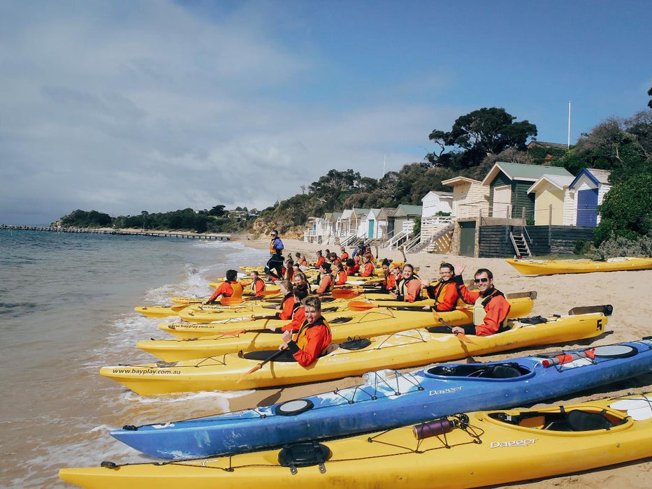 Kayak The Dolphin Sanctuary - We Wander