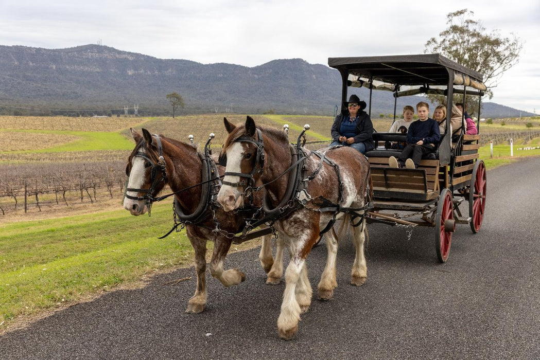 45-Minute Vineyard Horse-Drawn Carriage Ride