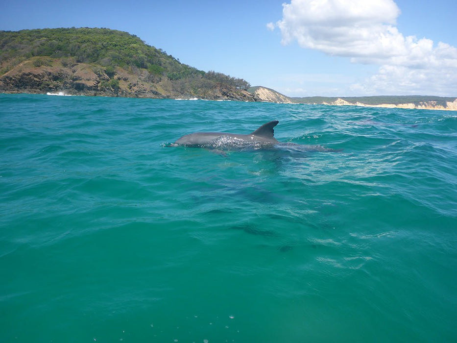 Learn To Surf Australia's Longest Wave - Combo 2 X Day Trip Departing Noosa - We Wander