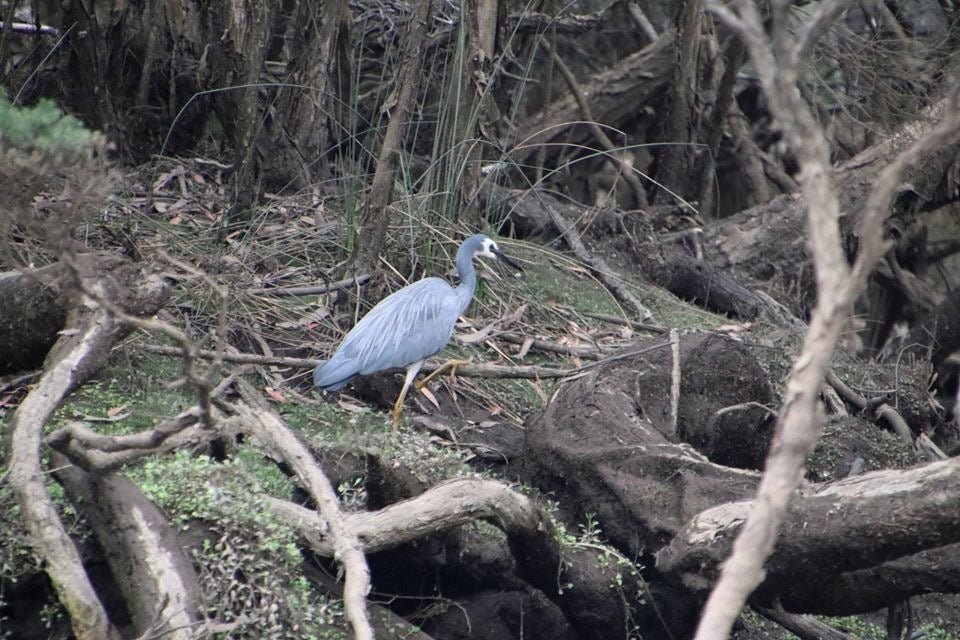 Leven River & History Cruise - We Wander