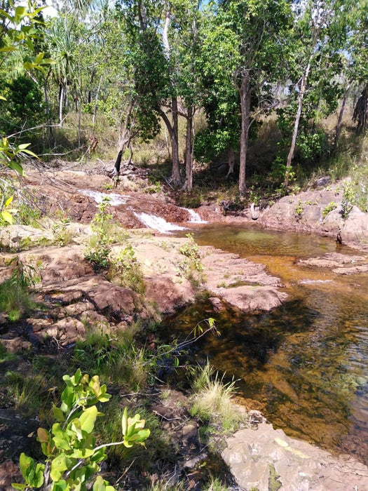 Litchfield Park Adventures With Jumping Crocodile Cruise - We Wander