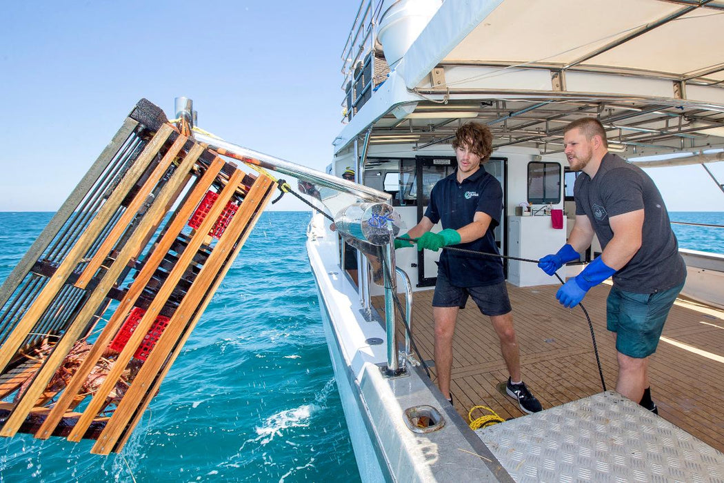 Mandurah Wild Seafood Experience - We Wander