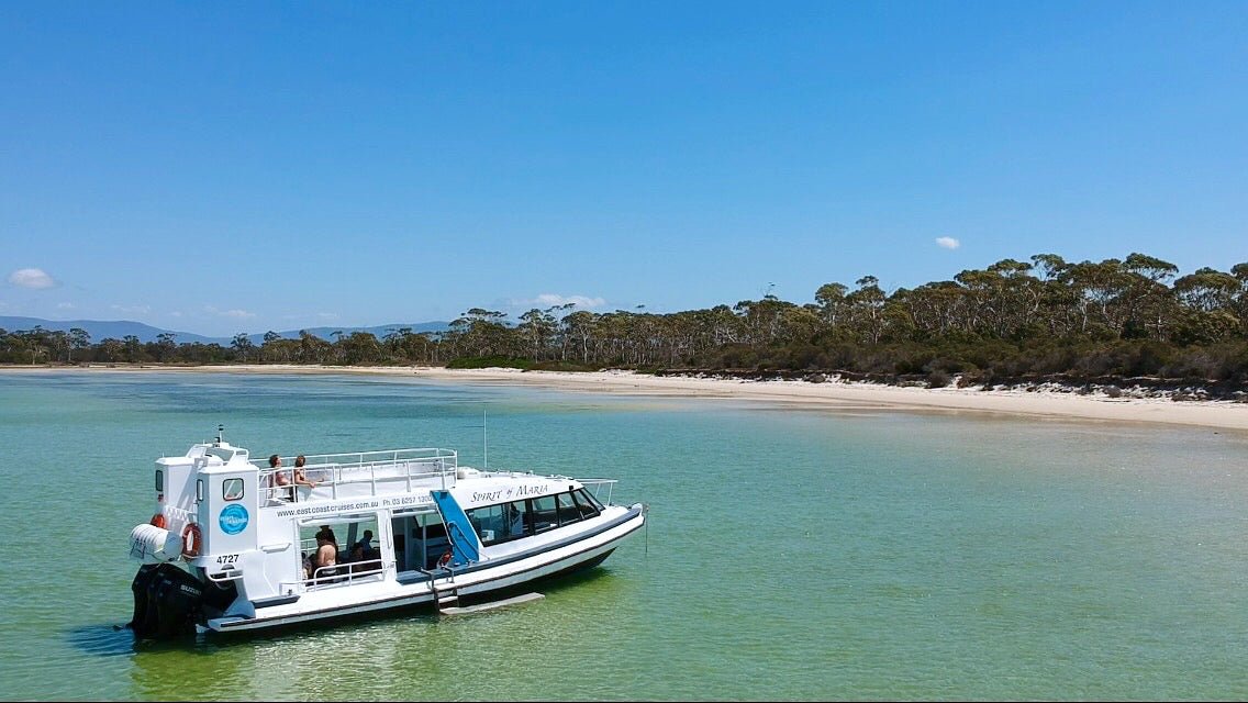 Maria Island Circumnavigation Tour + Hobart Shuttle Bus - We Wander