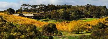 Mclaren Vale Wine Tour Corporate Package Full Day - We Wander