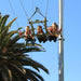 Megaclimb: Climb And Jump - We Wander