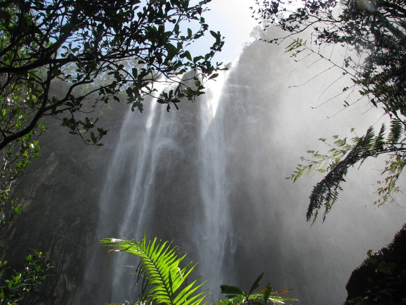 Minyon Falls Short Walk