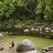 Mossman Gorge (Ex Port Douglas) Shuttle - We Wander