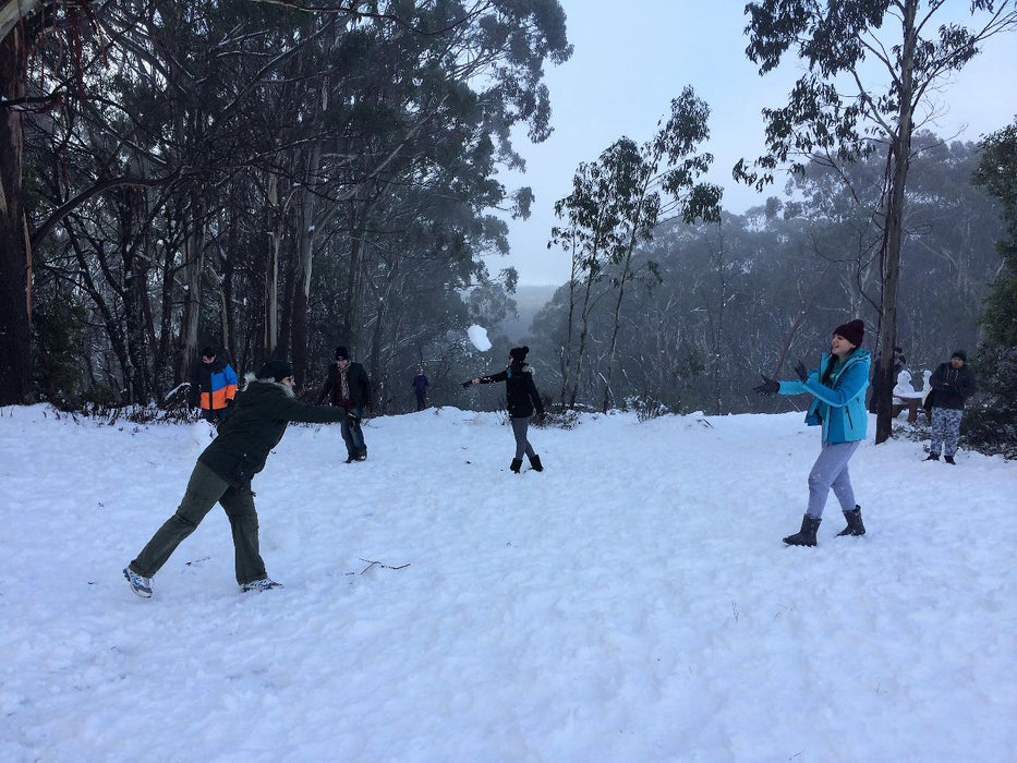 Mt Buller Snow Day Tour - We Wander